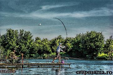 Crapmania - 2013